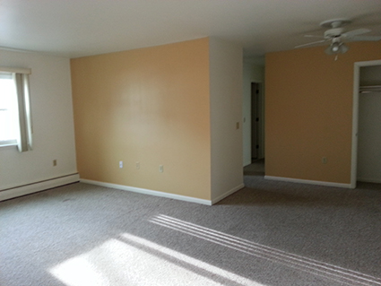 Luxury Unfurnished