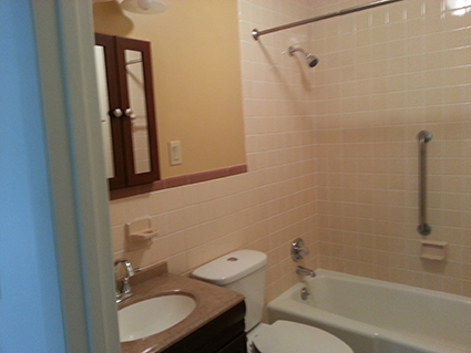 Luxury Unfurnished